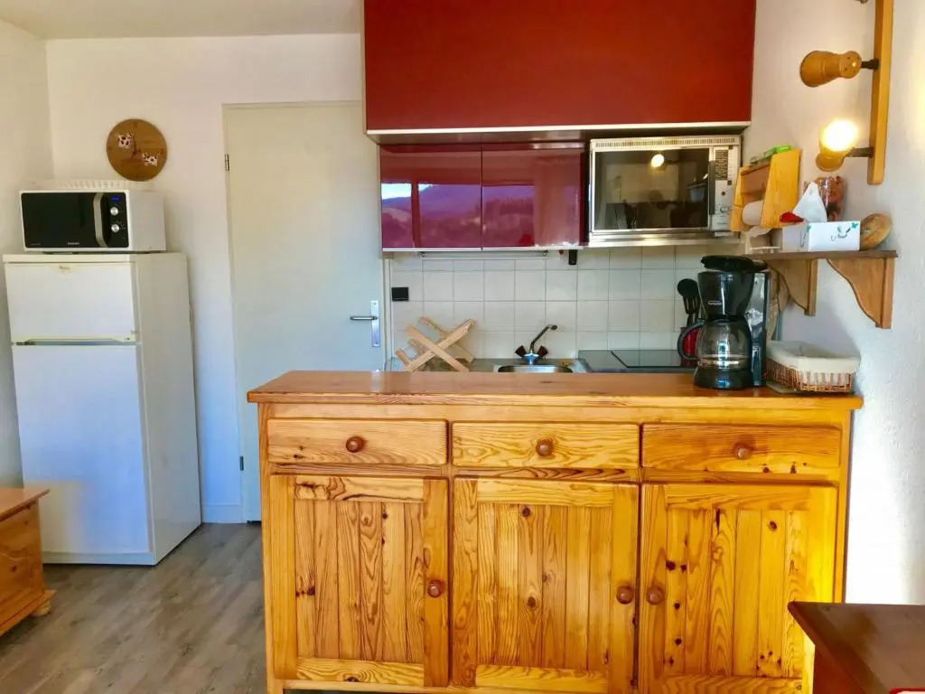 Studio cabine lumineux avec parking à Villard-de-Lans - FR-1-515-96