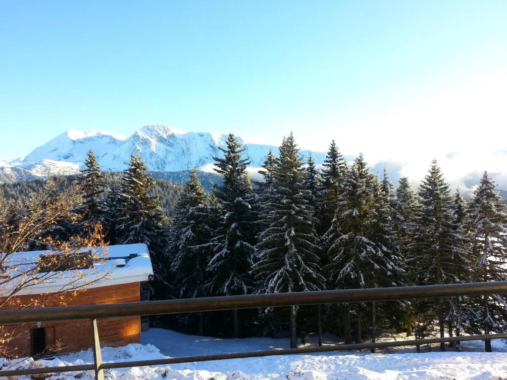 CHAMROUSSE-SPORT&DETENTE appartement 6 couchages avec superbe vue