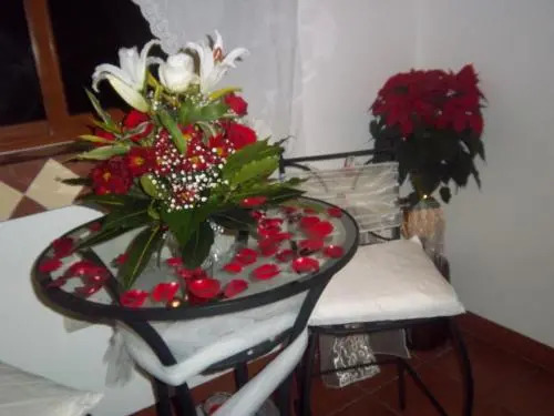 Hostal Casa Vieja