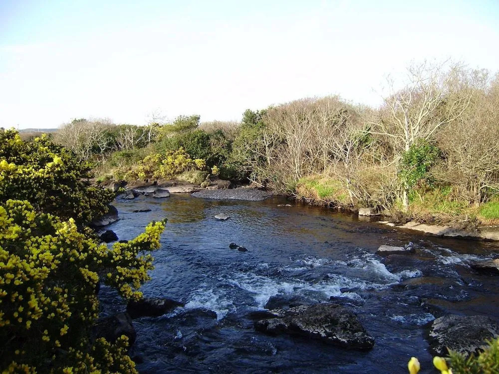Cloverfox Connemara