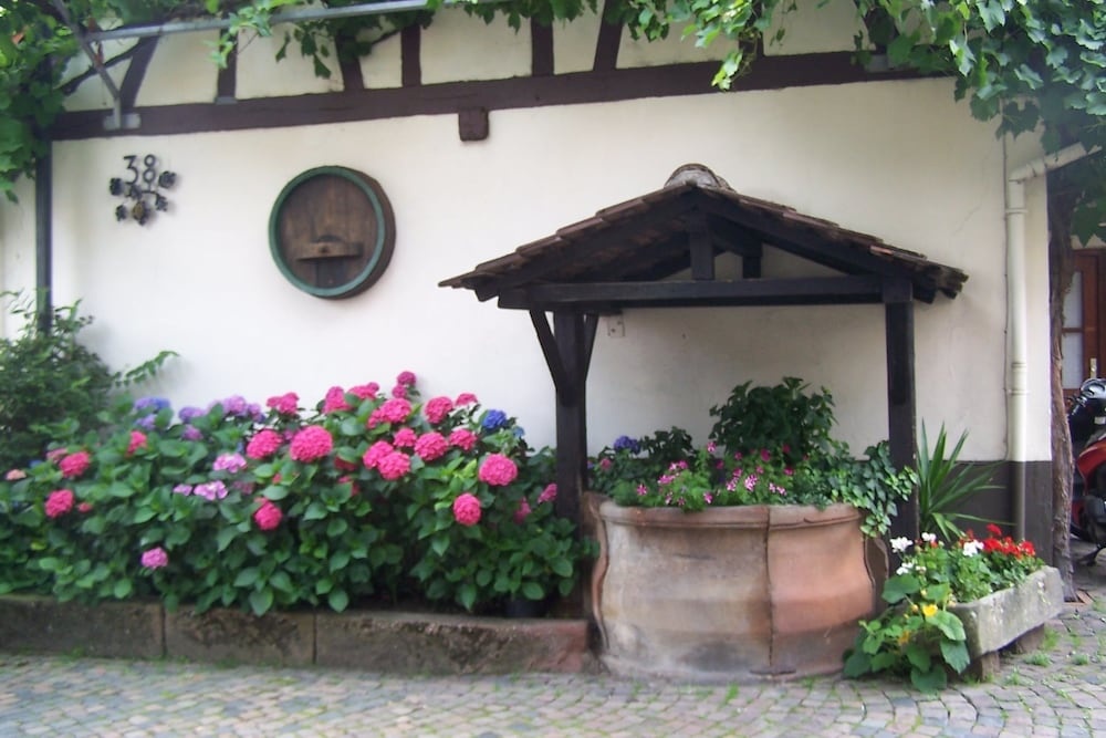 Hotel ZUM ENGEL in Speyer - Römerberg
