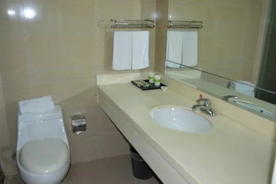 Ibis Styles Shanghai Caohejing Hongmei Road