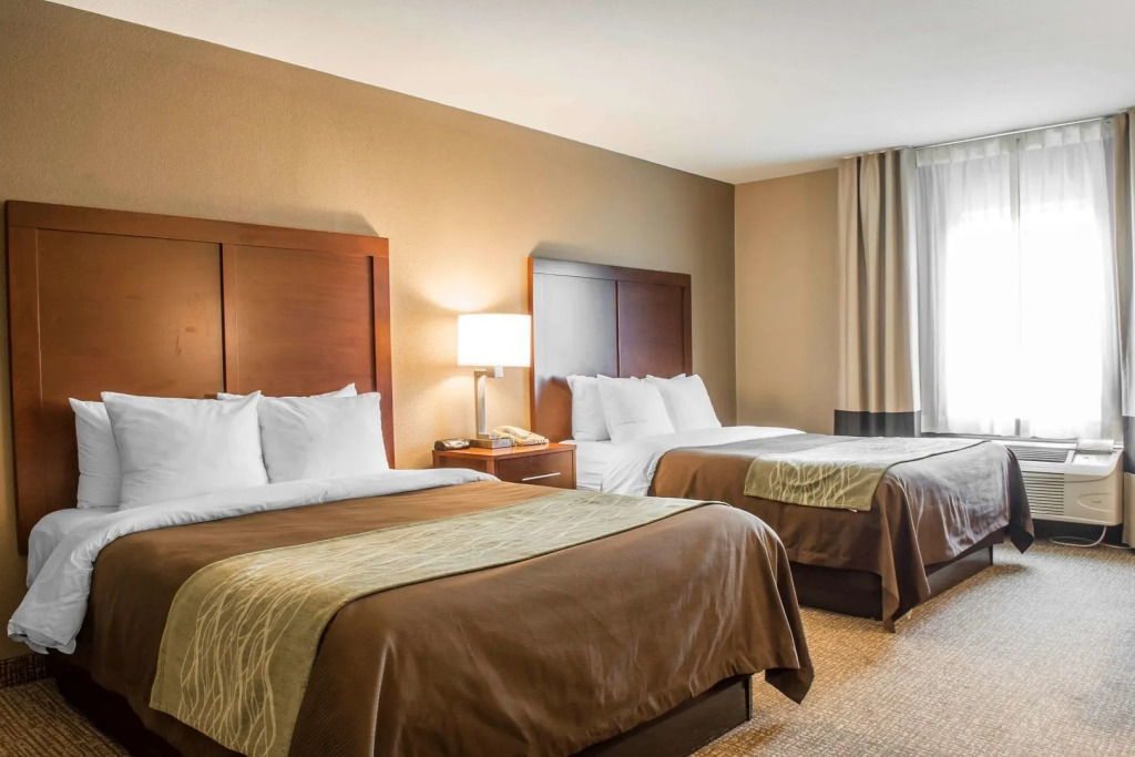 Comfort Inn Edinburg South