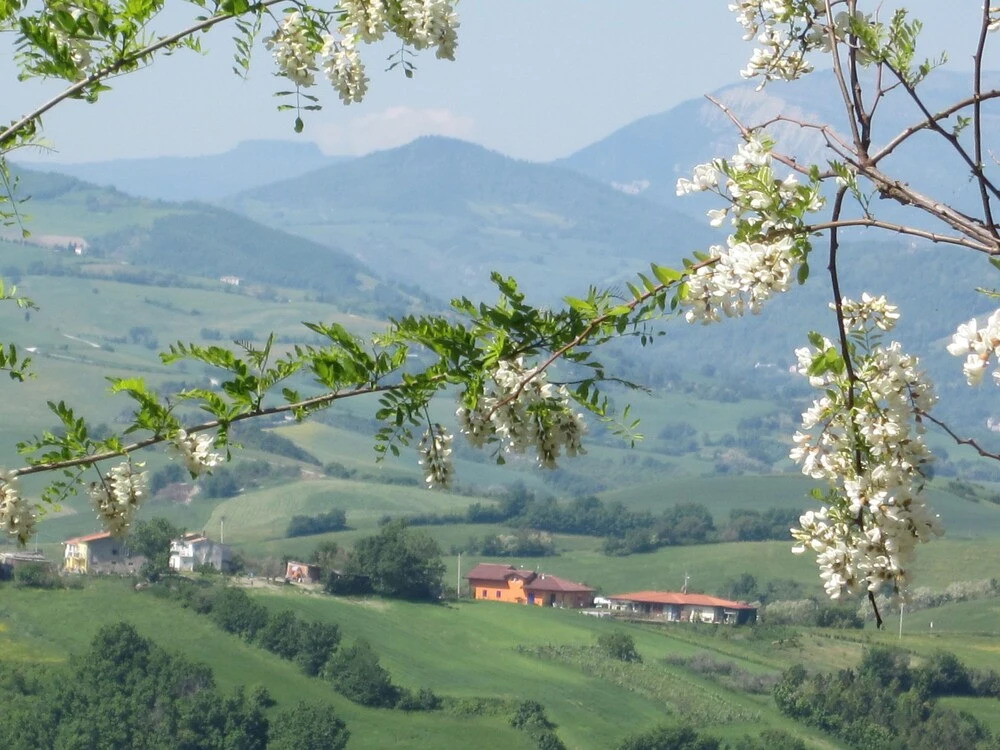 Beautiful Villa With Private Swimming Pool, Garden and Panoramic View 10-5