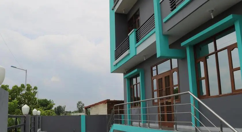 Avva Green