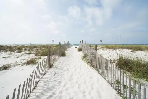 Surfside Shores II 2905