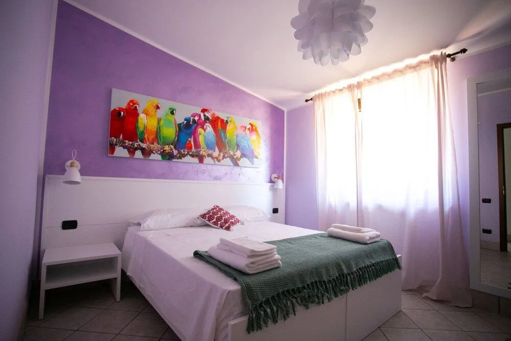 B&B Trepo