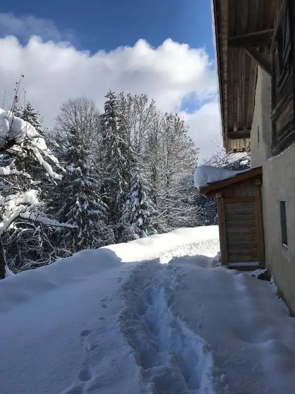 La ferme des ours