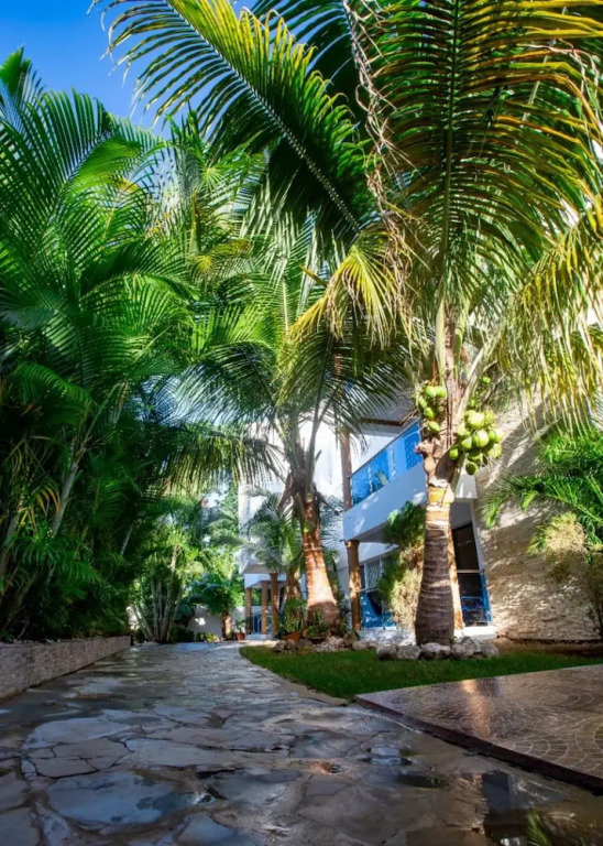 Cozy and Central apartment 1br-1ba with Pool