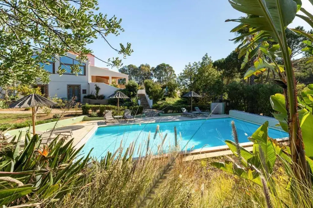 Casa do Palmeiral - Hoom B&B