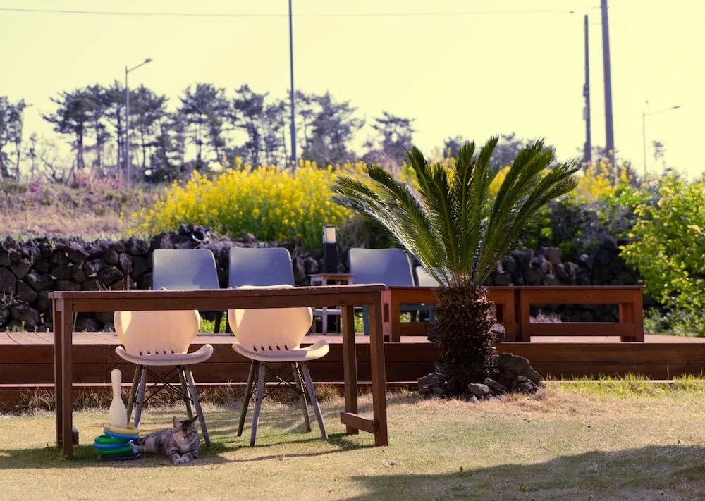 Hello Project Guesthouse