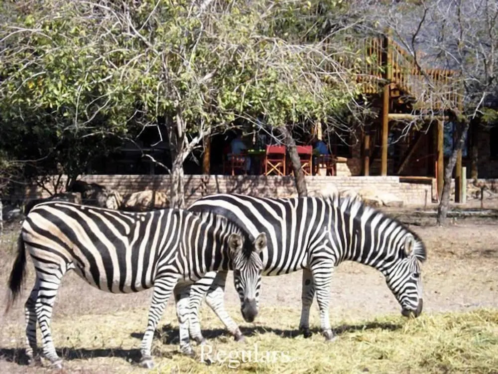 a Zaganaga Kruger Lodge