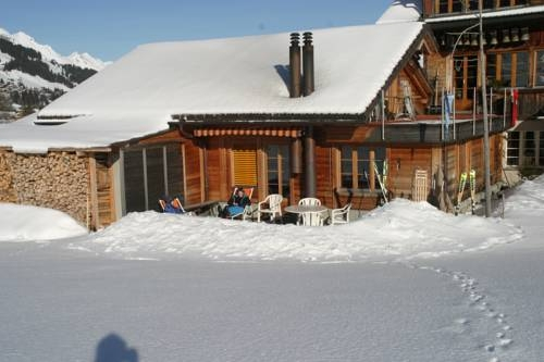 Bergdohle