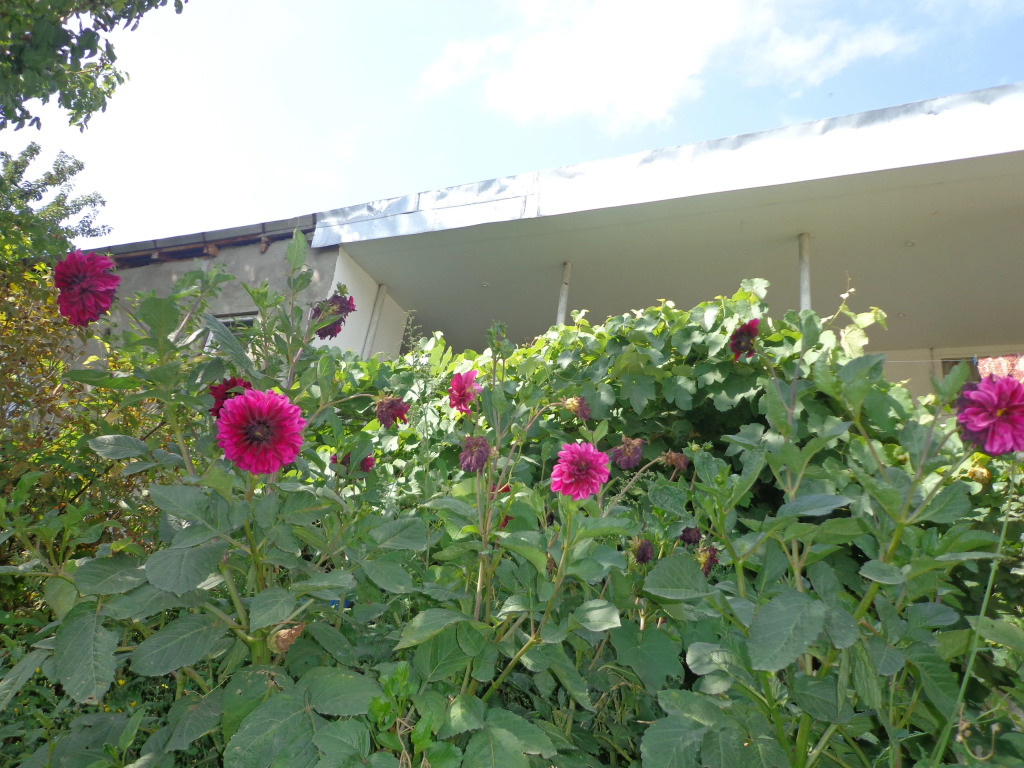 Anush`s B&B