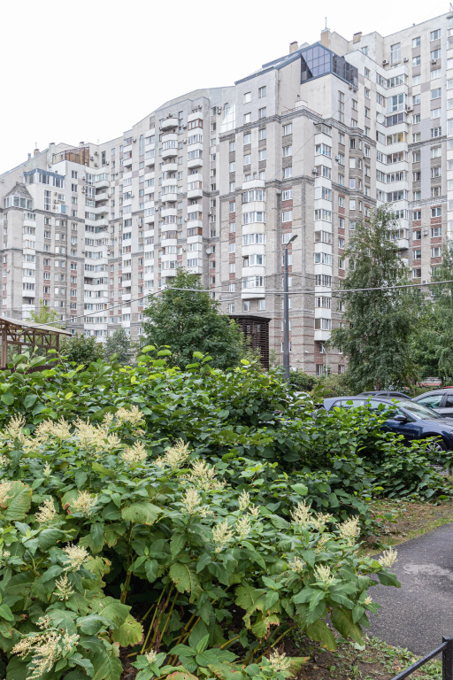 Квартира Жасмин