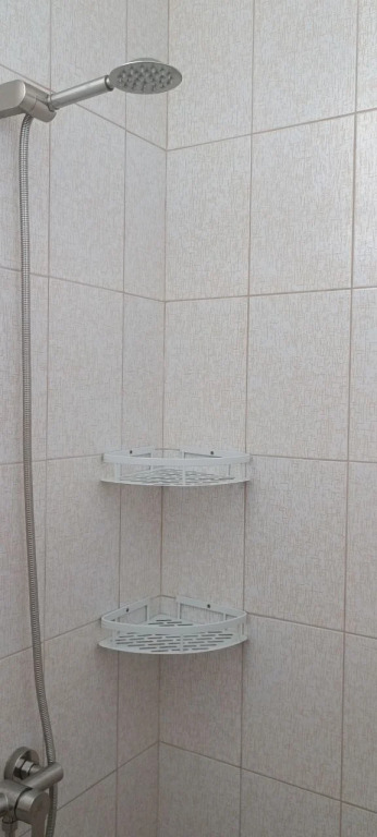 Ива