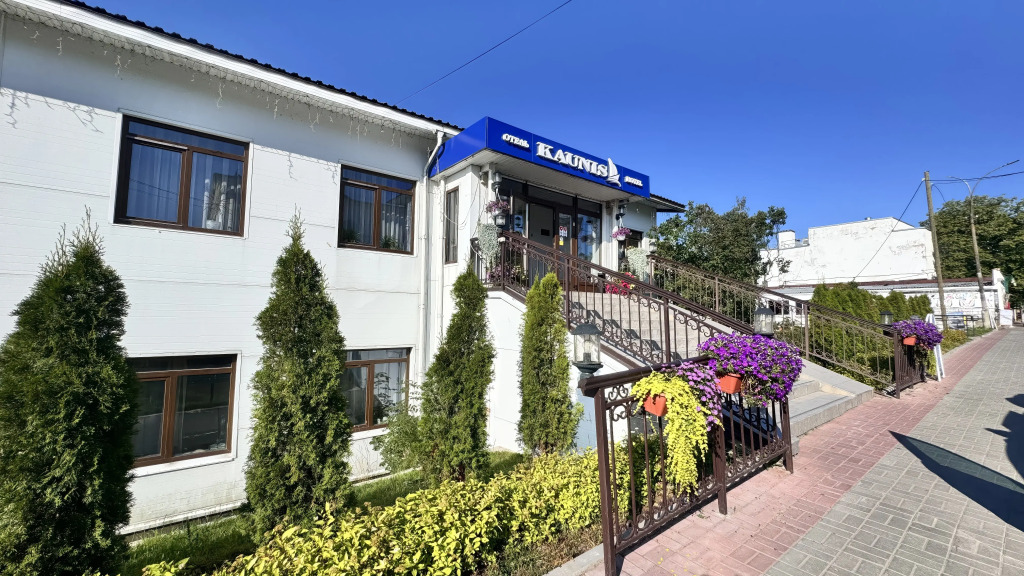 Каунис