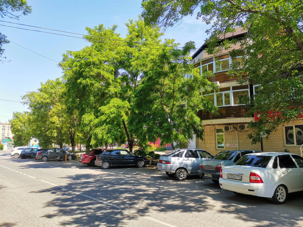 Ракушка Анапа