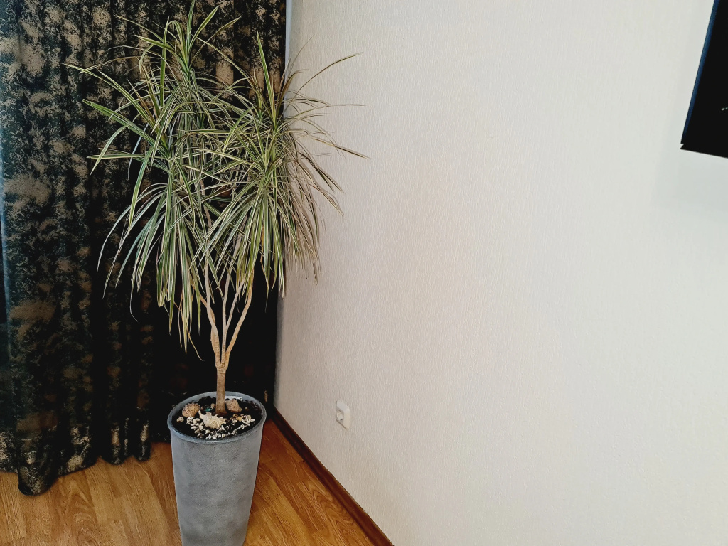 Dvukhkomnatnye na Kuzbasskoy Divizii 24 Apartments