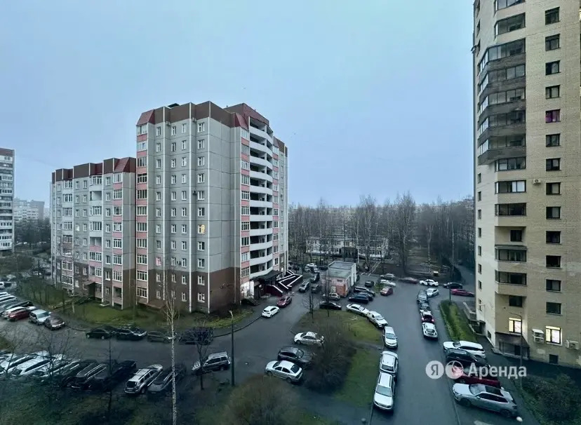 Квартира Шоколад у Доктрины и МЦ Алмазова