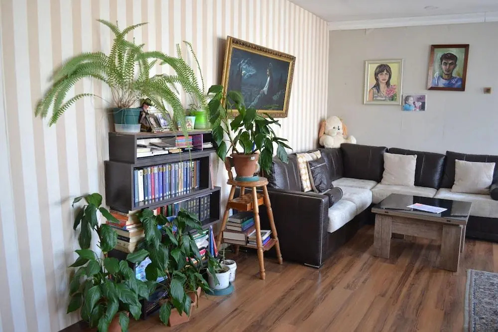 Your House In Tbilisi
