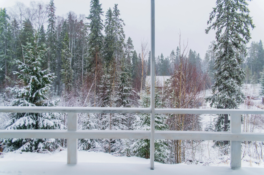 Panorama Kareliya Guest House