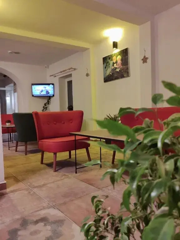 Отель The Professor's Hotel