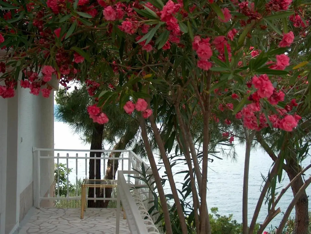 Villa Blanka