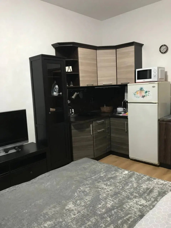 Квартира студия Живи в Песочном на Садовой 83