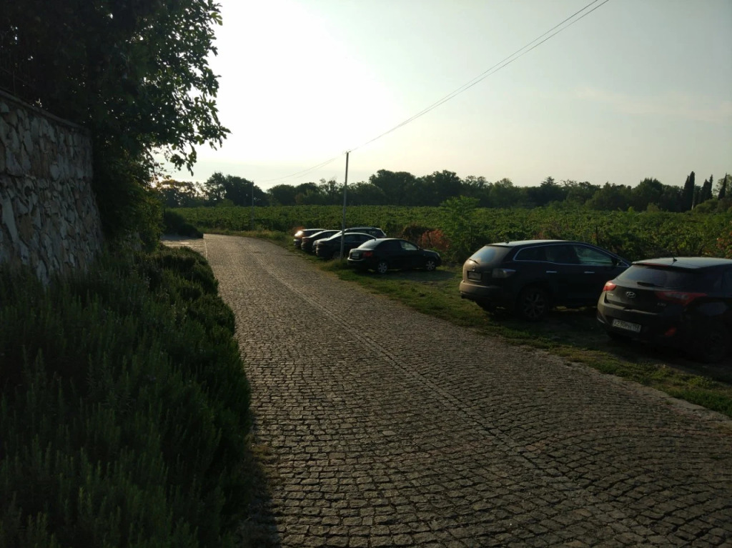 Меблированные комнаты Царь