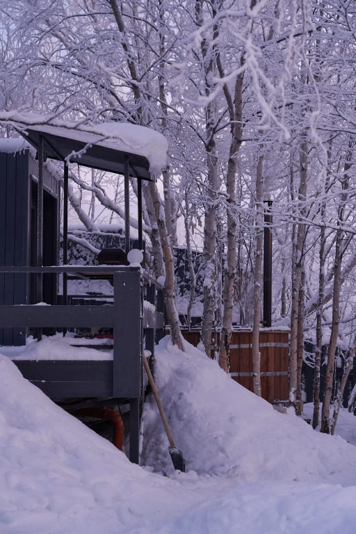Частный дом в лесу