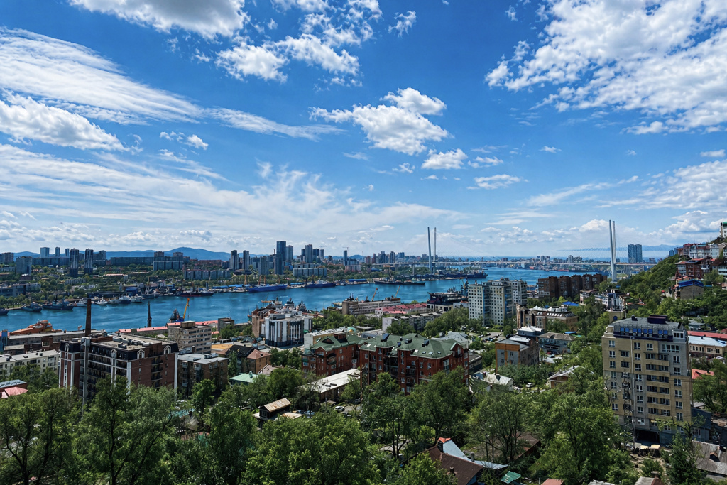 Квартира Уютная двухкомнатная квартира с шикарным видом на Золотой мост