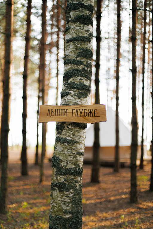 Глэмпинг Берег Грифона