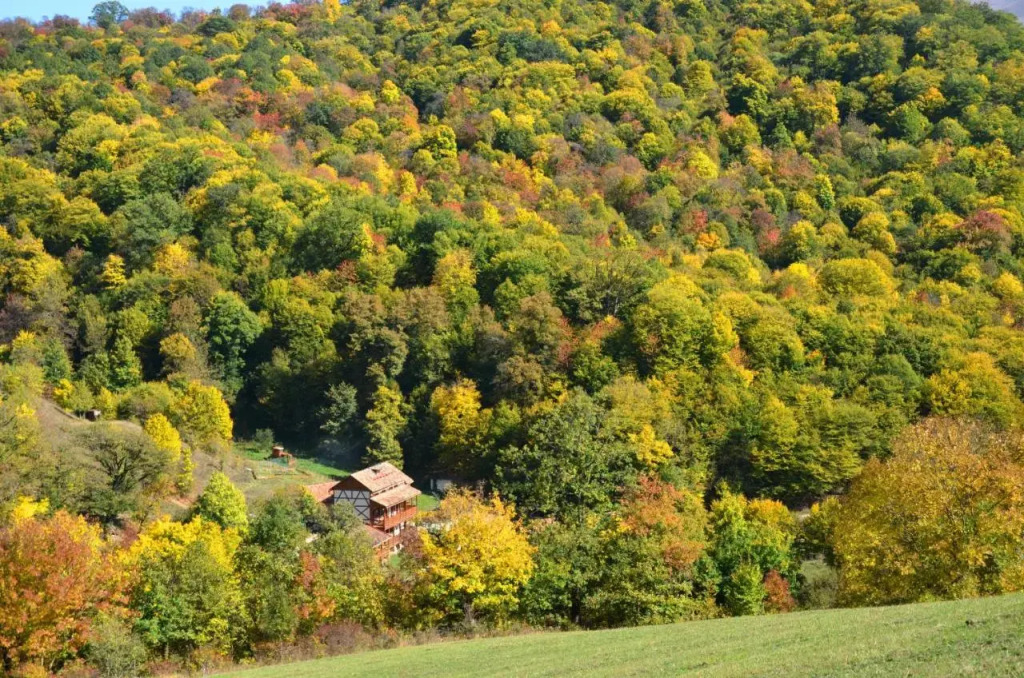 Ecokayan Dilijan Resort Hotel