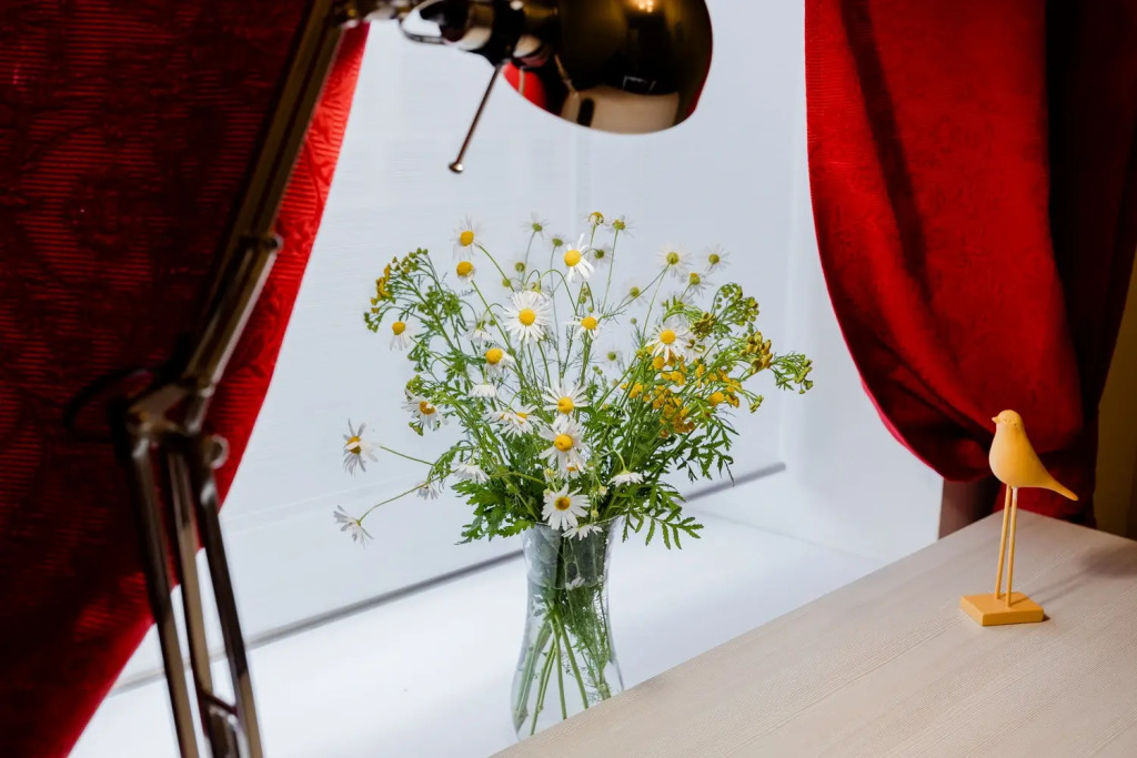 Апартаменты Двухкомнатные на Чапаева 19