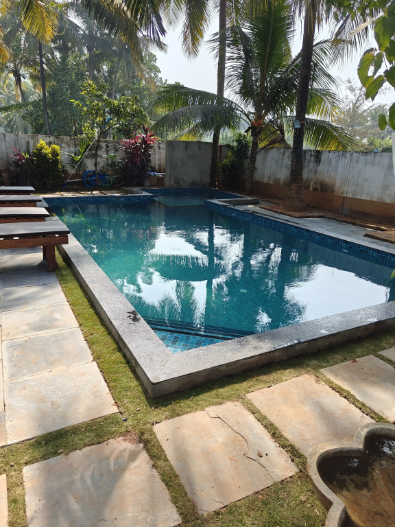 SOLS Backyard Bungalow