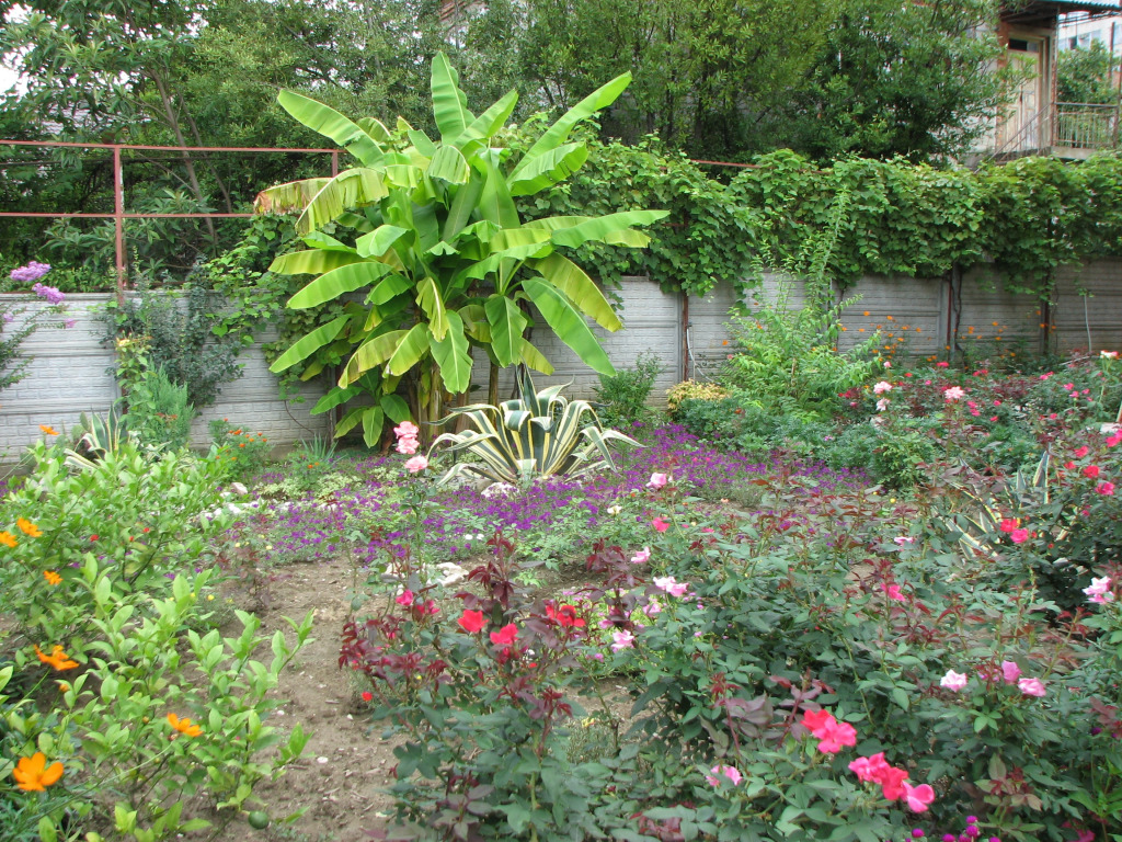 Guest House Villa Roza
