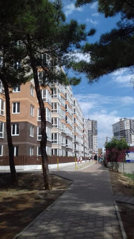 Апартаменты Люкс на Пионерском
