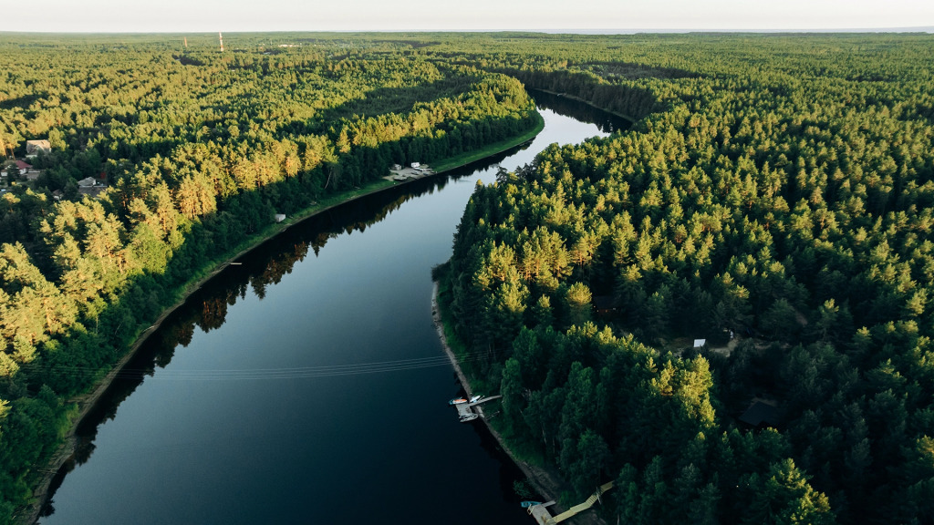 Частный дом Брусничный Берег на берегу р. Олонка, Республика Карелия - фото 41
