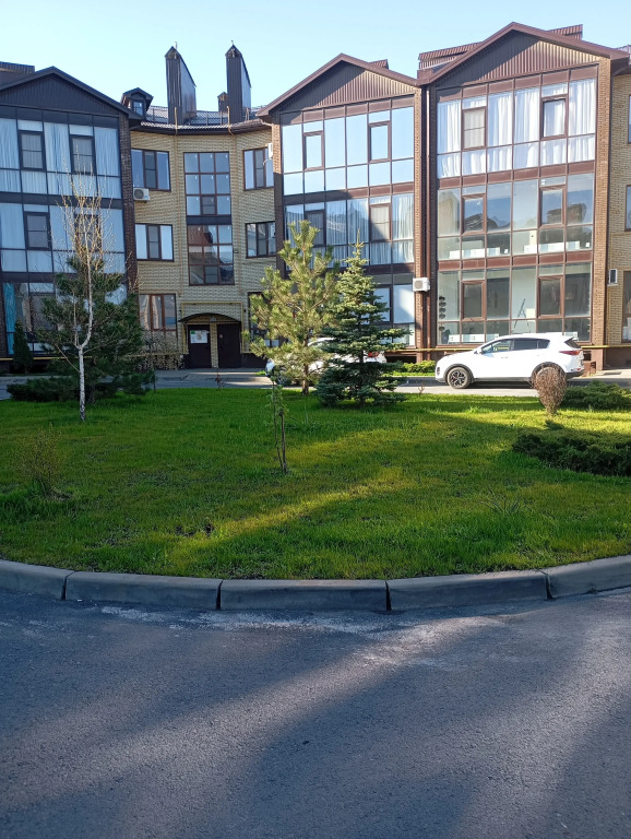 S Tsvetami flat