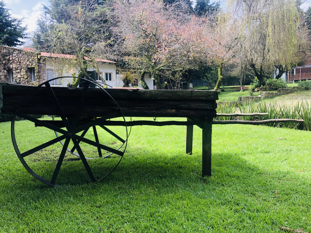 Кемпинг EcoCamp Ajusco Rotamundos