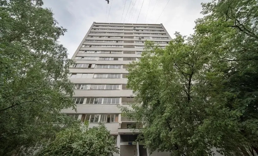 Uyutnaya Dvushka V Zeleni Flat