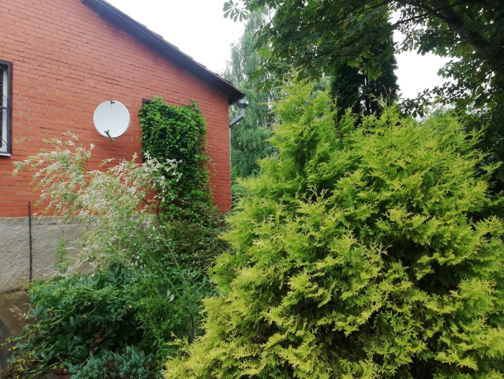 Dlya Dushi I Serdtsa U Mozhayskogo Morya Guest house