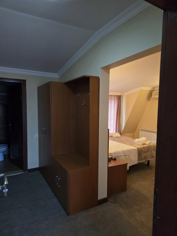 Отель Ritsa Hotel