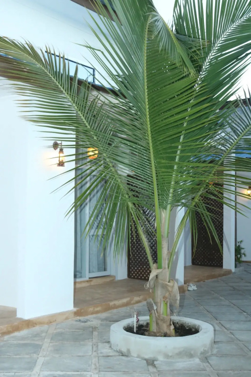 Zanzibar Luxury Bungalows
