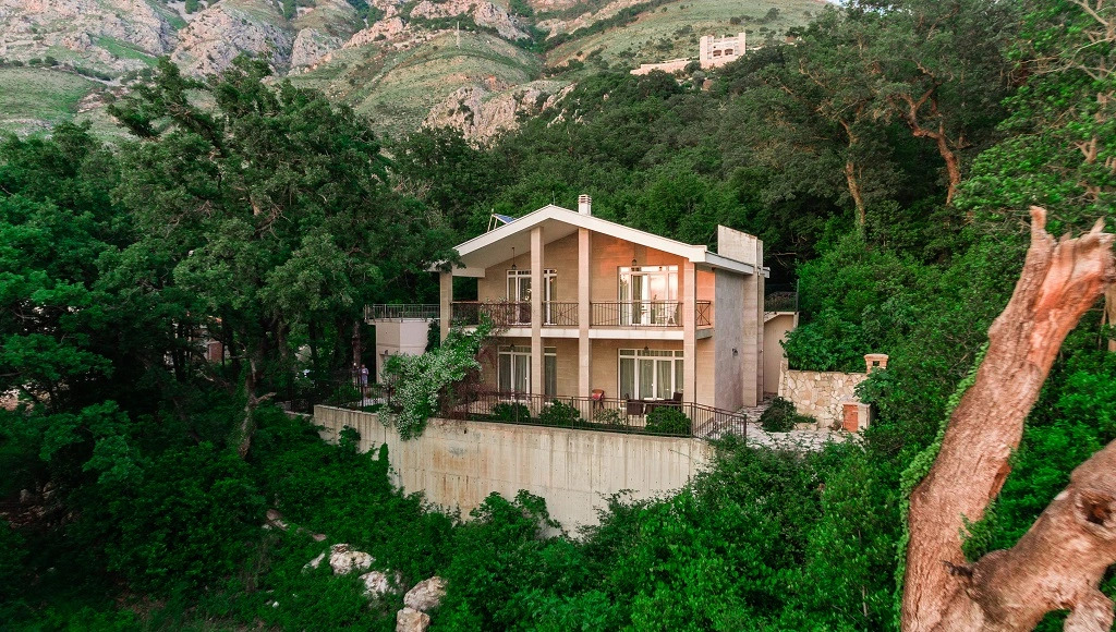 Delphinium Villa