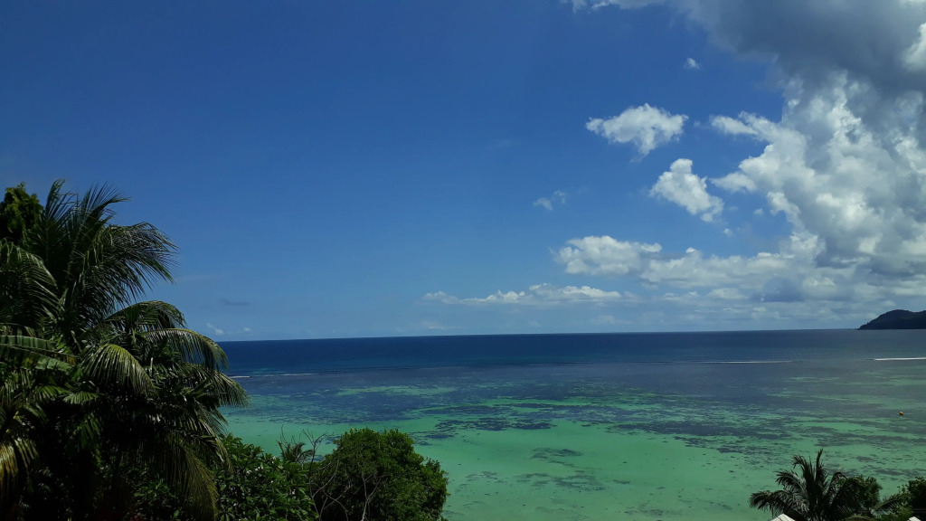Au Fond De Mer View