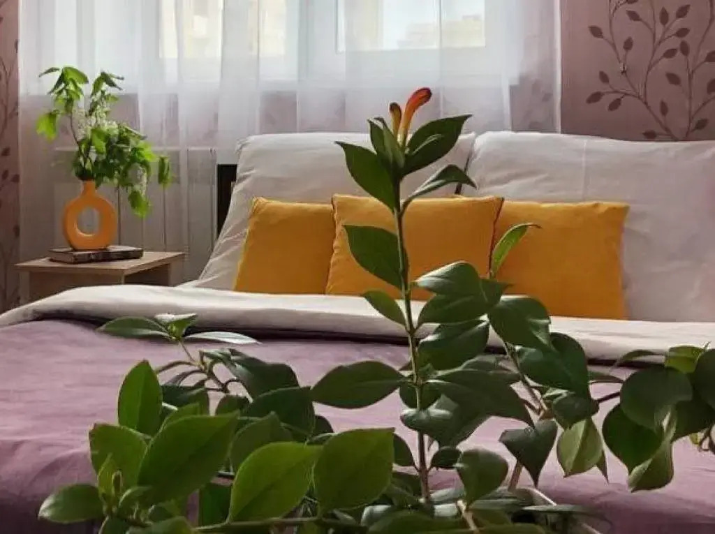 Апартаменты Ярко 2