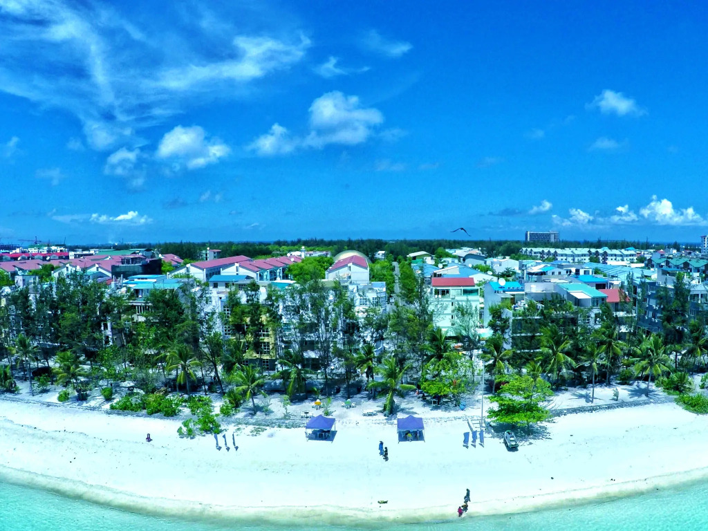 Planktons Beach