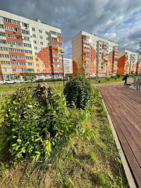 Квартира на улице Большая Санкт-Петербургская 106/4